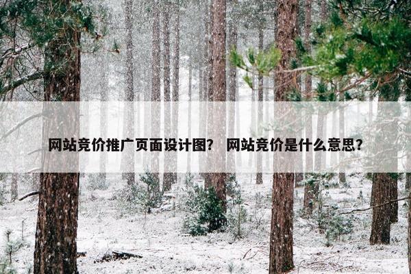 网站竞价推广页面设计图？ 网站竞价是什么意思？