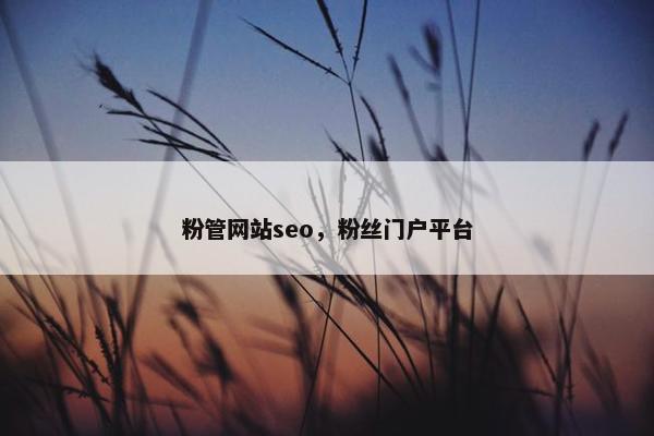 粉管网站seo，粉丝门户平台