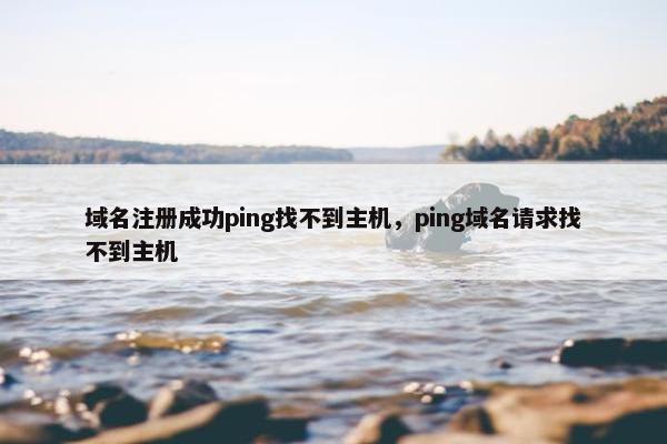 域名注册成功ping找不到主机，ping域名请求找不到主机