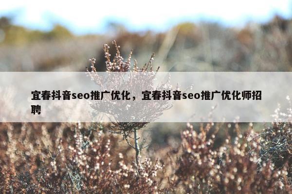 宜春抖音seo推广优化，宜春抖音seo推广优化师招聘