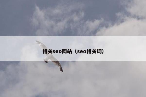 相关seo网站（seo相关词）