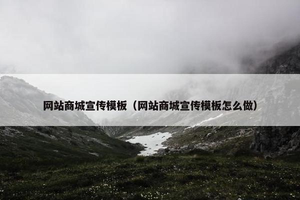 网站商城宣传模板（网站商城宣传模板怎么做）
