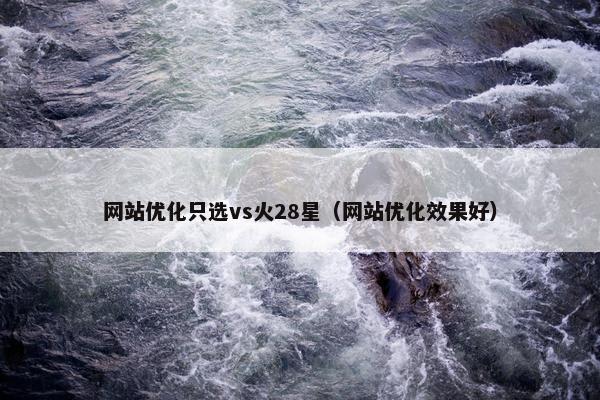 网站优化只选vs火28星（网站优化效果好）